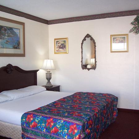 Budget Inn - St. Petersburg Phòng bức ảnh
